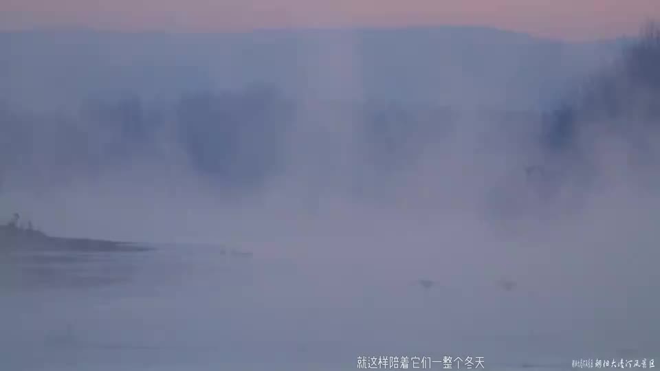 灯亮着，等它们