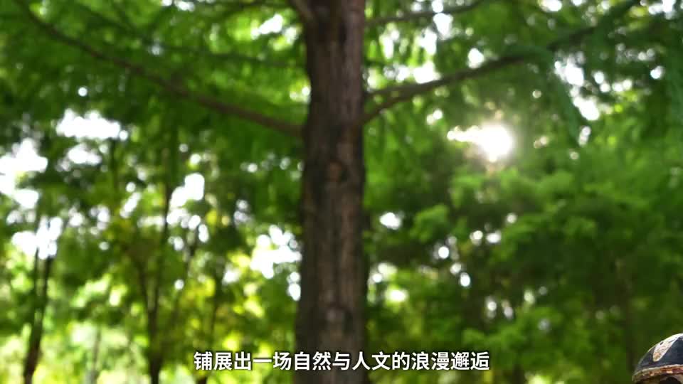 20分钟，甸溪河把快乐还给你
