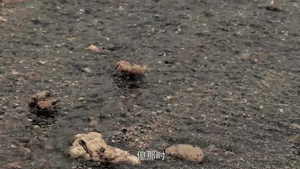 蟹·谢：大冶湖的生态答卷