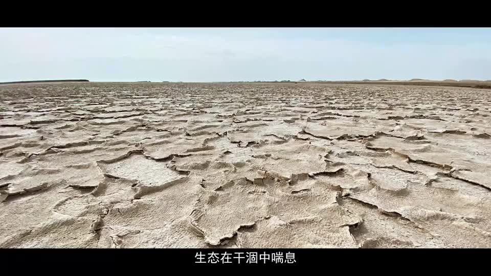 智掌湖泽擘画水韵新篇
