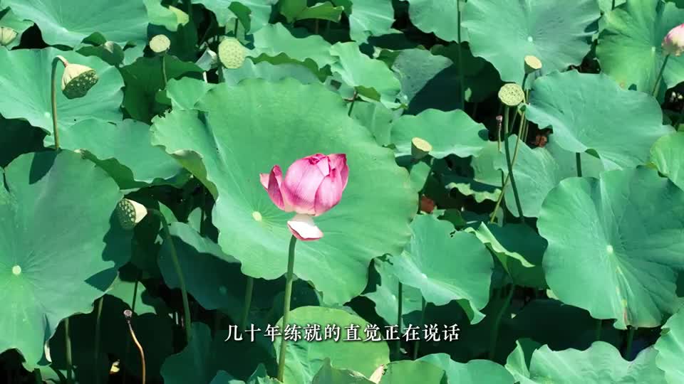 双镜协奏曲——记宁波市江北区无人机AI巡河