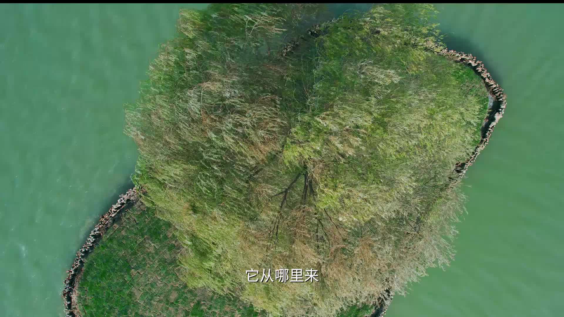 淮水流过那片岛